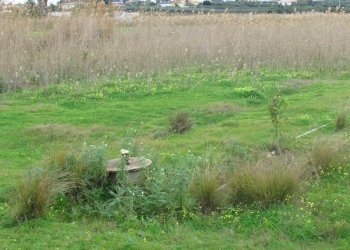 Terreno edificabile Località Fiori, Menfi - foto 5