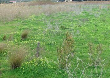 Terreno edificabile Località Fiori, Menfi - foto 6