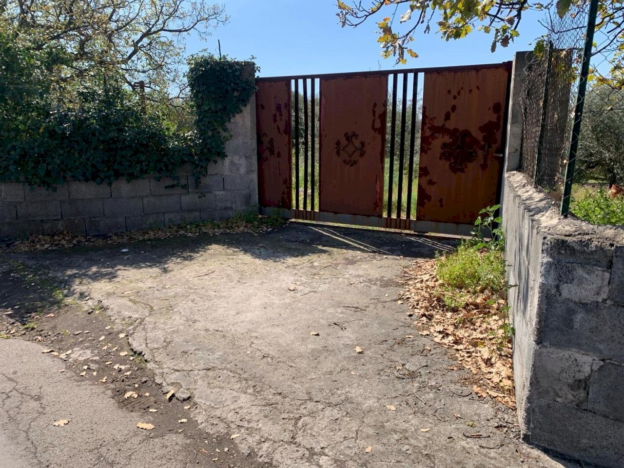 WhatsApp Image 2024-03-19 at 16.50.43(4).jpeg - Agricultural land Pedara - photo 2