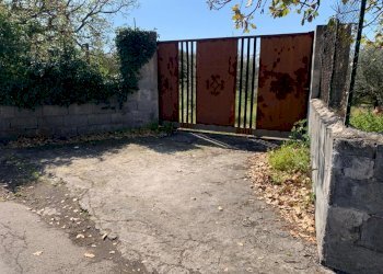 WhatsApp Image 2024-03-19 at 16.50.43(4).jpeg - Agricultural land Pedara - photo 2