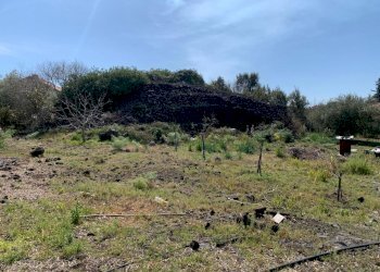 WhatsApp Image 2024-03-19 at 16.50.42(3).jpeg - Agricultural land Pedara - photo 13