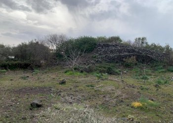 WhatsApp Image 2025-01-29 at 11.37.08 (2).jpeg - Agricultural land Pedara - photo 15