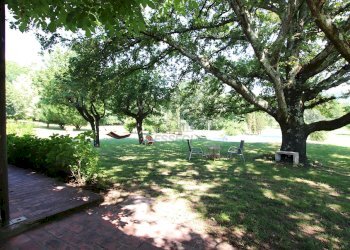 vendesi rustico con piscina e parco IMG_3955.JPG - Casale Via della Chiesa di Gragnano, Lucca - foto 30