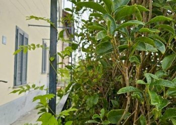 Rustic Murisengo - photo 14