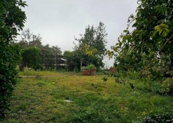 Rustic Murisengo - photo 23