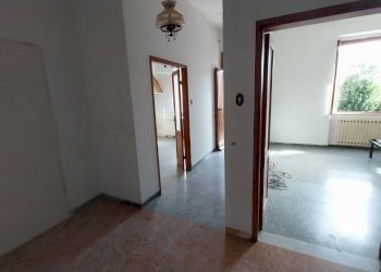 am1.jpg - Appartamento Ameglia - foto 20