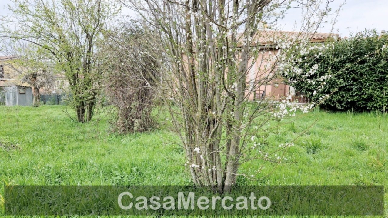 1.jpg - Terreno agricolo Via dei Castagni, Rocca di Papa - foto 2