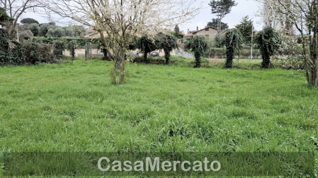 2.jpg - Terreno agricolo Via dei Castagni, Rocca di Papa - foto 3