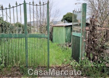 7.jpg - Terreno agricolo Via dei Castagni, Rocca di Papa - foto 1