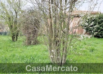 1.jpg - Terreno agricolo Via dei Castagni, Rocca di Papa - foto 2