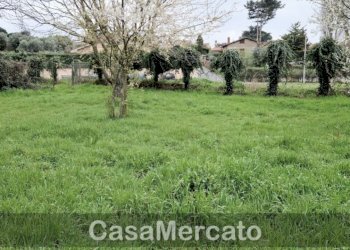 2.jpg - Terreno agricolo Via dei Castagni, Rocca di Papa - foto 3