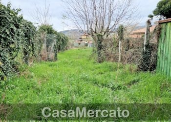 3.jpg - Terreno agricolo Via dei Castagni, Rocca di Papa - foto 4