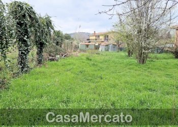 4.jpg - Terreno agricolo Via dei Castagni, Rocca di Papa - foto 5
