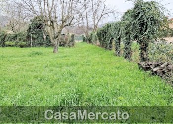 6.jpg - Terreno agricolo Via dei Castagni, Rocca di Papa - foto 7