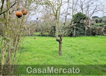 8.jpg - Terreno agricolo Via dei Castagni, Rocca di Papa - foto 8