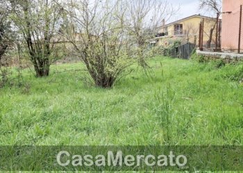 9.jpg - Terreno agricolo Via dei Castagni, Rocca di Papa - foto 9