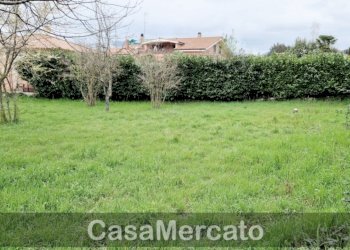 10.jpg - Terreno agricolo Via dei Castagni, Rocca di Papa - foto 10