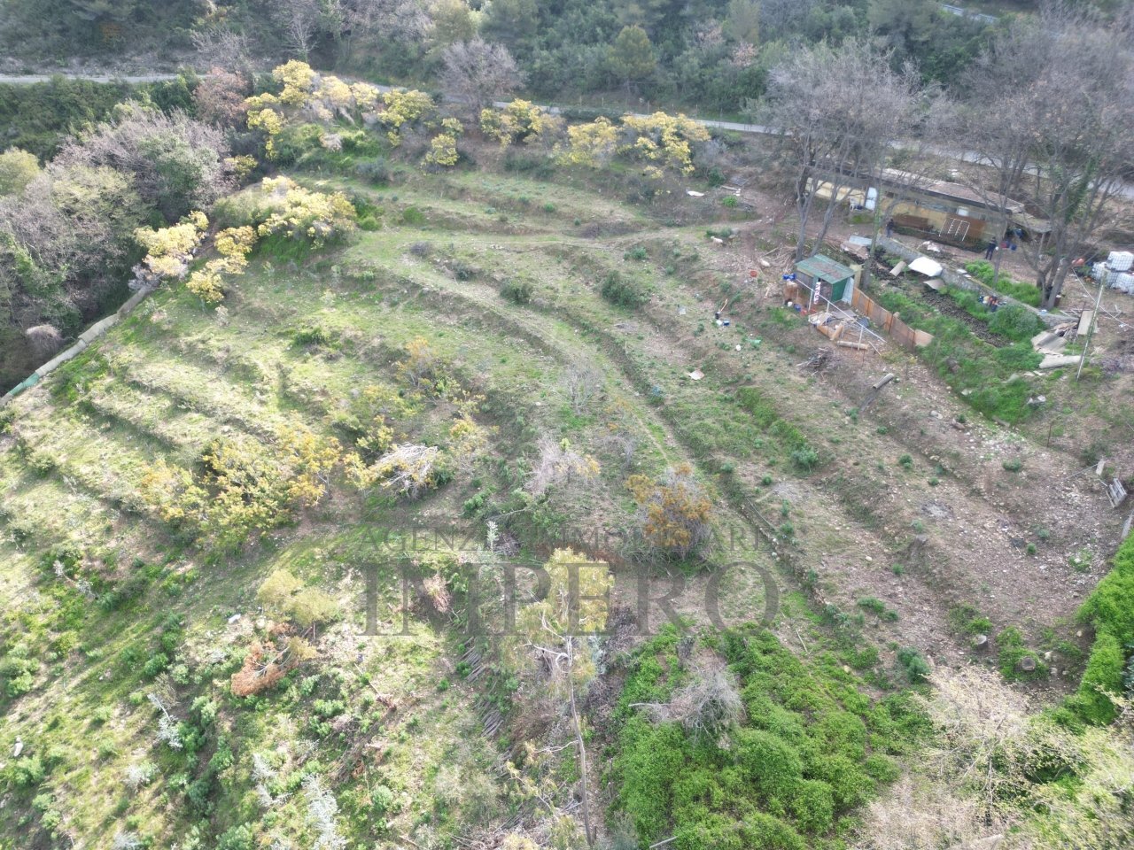 drone - Terreno agricolo Regione Magauda 36, Camporosso - foto 3