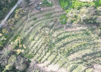 drone - Terreno agricolo Regione Magauda 36, Camporosso - foto 1