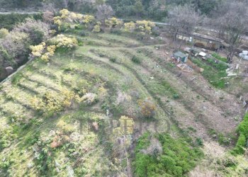 drone - Terreno agricolo Regione Magauda 36, Camporosso - foto 3