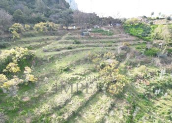 drone - Terreno agricolo Regione Magauda 36, Camporosso - foto 5