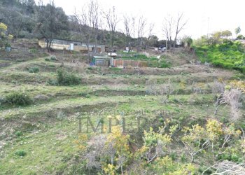 drone - Terreno agricolo Regione Magauda 36, Camporosso - foto 6