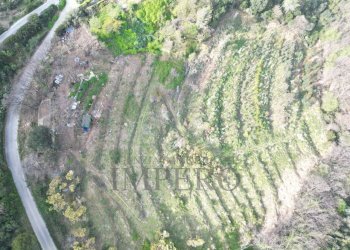 drone - Terreno agricolo Regione Magauda 36, Camporosso - foto 10