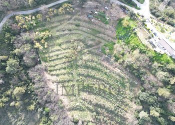 drone - Terreno agricolo Regione Magauda 36, Camporosso - foto 11