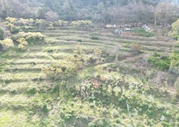 drone - Terreno agricolo Regione Magauda 36, Camporosso - foto 12