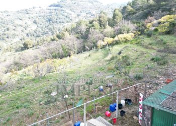 drone - Terreno agricolo Regione Magauda 36, Camporosso - foto 13
