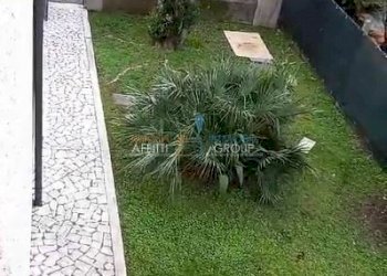 Cattura 41.JPG - Appartamento Via delle Pinete 87, Massa - foto 1