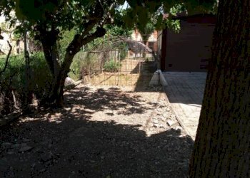 Terreno - Capannone via Enrico Fermi, San Felice sul Panaro - foto 6