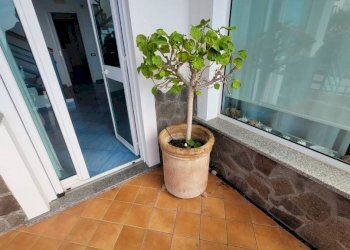 Balcone - Villa via Saracinello, Praia a Mare - foto 32