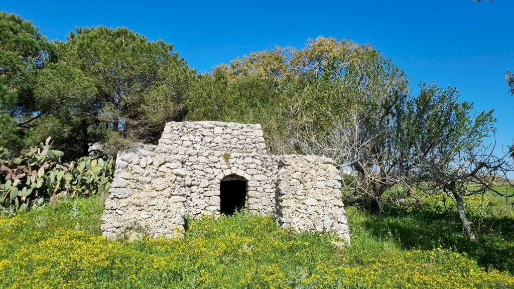 Agricultural land Tricase - photo 1