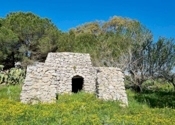 Terreno agricolo Tricase - foto 1