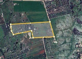 Terreno agricolo Tricase - foto 2