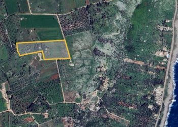 Terreno agricolo Tricase - foto 3