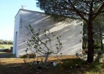 Terreno agricolo Tricase - foto 5