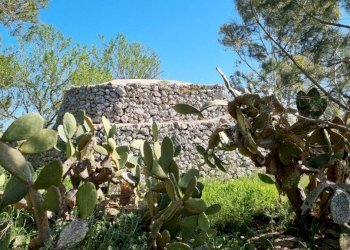 Terreno agricolo Tricase - foto 7