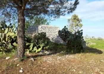 Terreno agricolo Tricase - foto 8