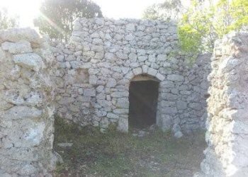 Terreno agricolo Tricase - foto 12