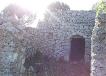 Terreno agricolo Tricase - foto 13