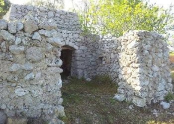 Terreno agricolo Tricase - foto 14