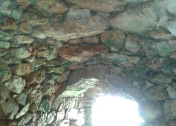 Terreno agricolo Tricase - foto 15