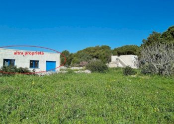 Terreno agricolo Tricase - foto 18