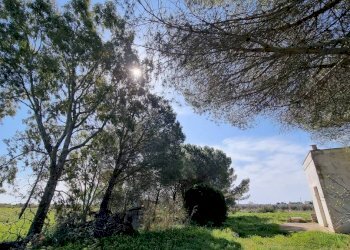 Terreno agricolo Tricase - foto 19