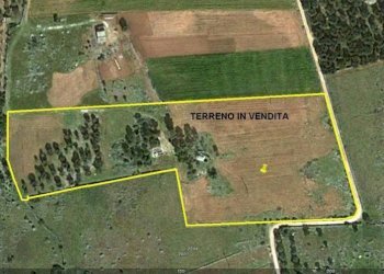 Terreno agricolo Tricase - foto 20