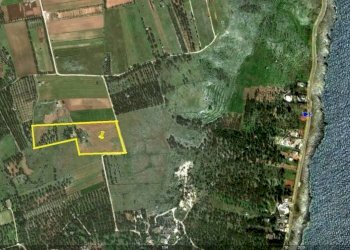 Terreno agricolo Tricase - foto 21