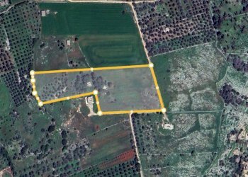 Terreno agricolo Tricase - foto 22