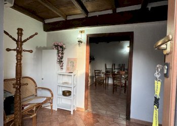 IMG_3950 2.JPG - Terratetto - Terracielo Stazzema - foto 2